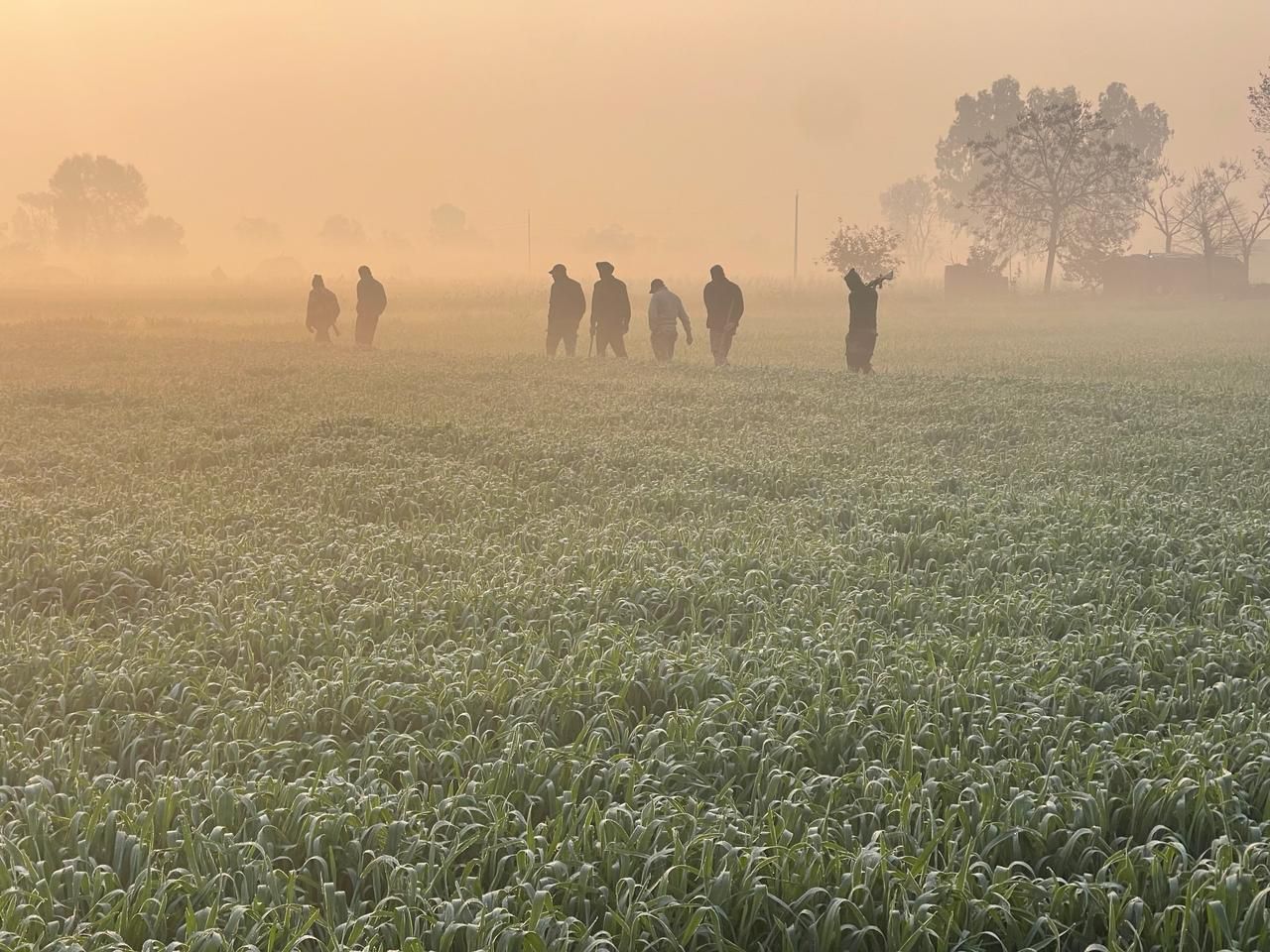 ਪੰਜਾਬ ਪੁਲਿਸ ਅਤੇ ਬੀਐਸਐਫ ਵੱਲੋਂ ਚਲਾਇਆ ਗਿਆ ਸਾਂਝਾ ਸਰਚ ਅਭਿਆਨ