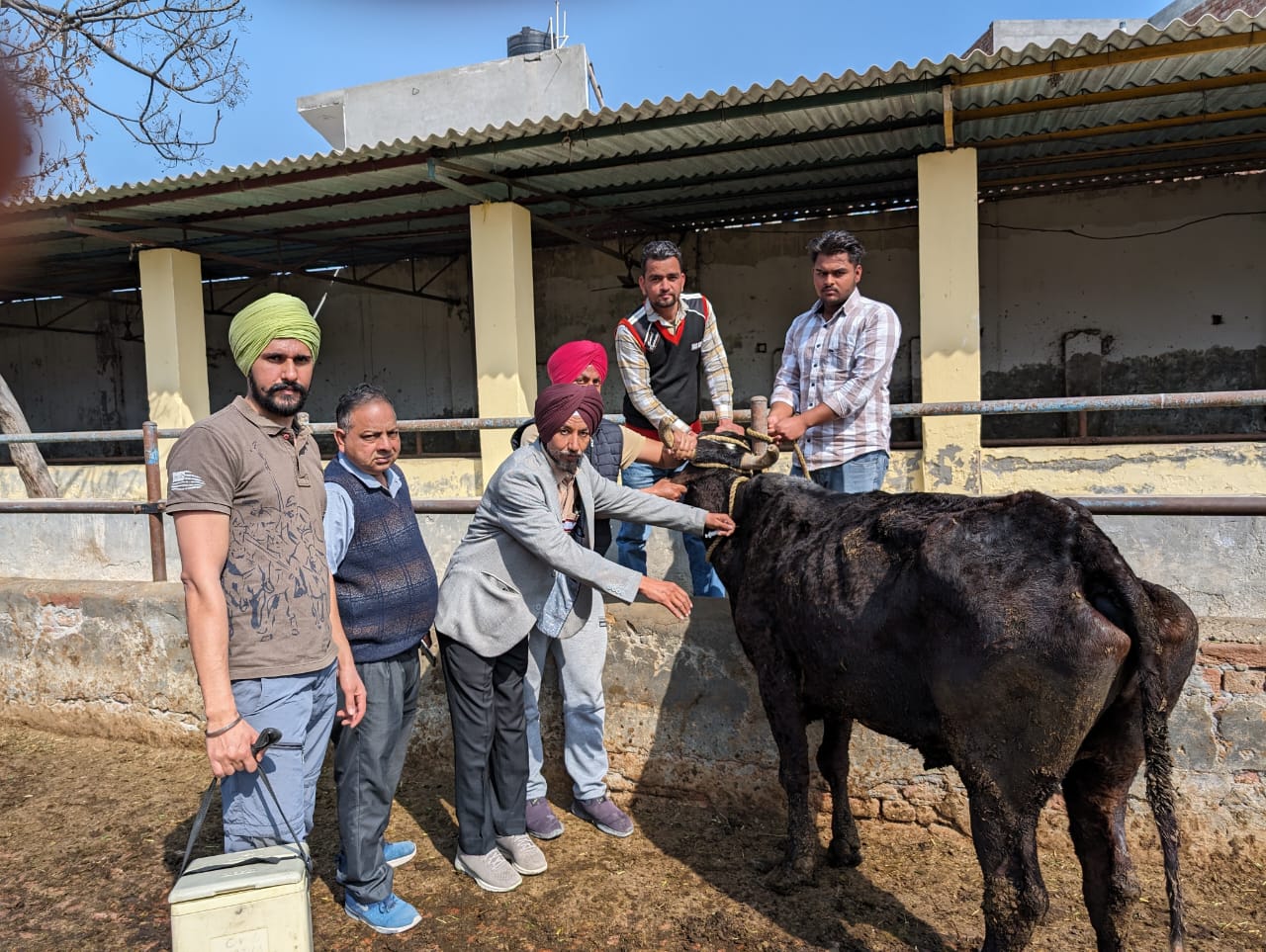 ਲੰਪੀ ਚਮੜੀ ਰੋਗ ਦੀ ਰੋਕਥਾਮ ਲਈ ਵਿੱਢੀ ਮੁਹਿੰਮ