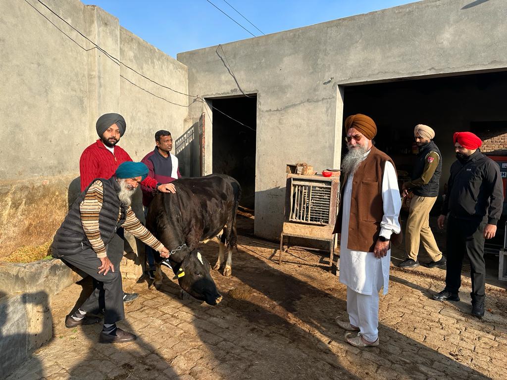 ਸਪੀਕਰ ਸੰਧਵਾਂ ਨੇ ਲੰਪੀ ਸਕਿਨ ਦੀ ਟੀਕਾਕਰਨ ਮੁਹਿੰਮ ਪਿੰਡ ਸੰਧਵਾਂ ਤੋਂ ਸ਼ੁਰੂ ਕਰਵਾਈ