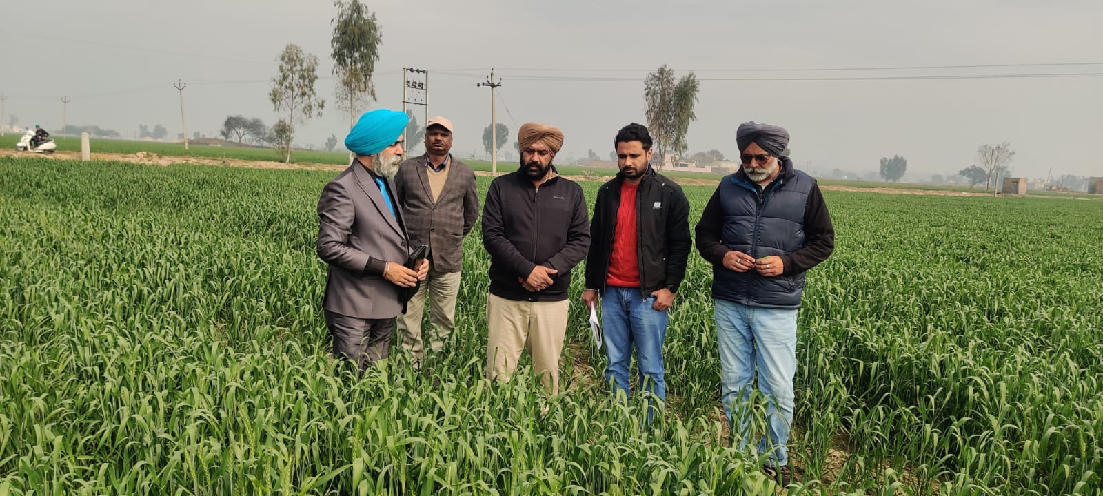 ਮੌਸਮ ਵਿੱਚ ਆ ਰਹੇ ਬਦਲਾਅ ਕਾਰਨ ਕਿਸਾਨਾਂ ਨੂੰ ਪੀਲੀ ਕੁੰਗੀ ਬਿਮਾਰੀ ਅਤੇ ਹੋਰ ਸਮੱਸਿਆਵਾਂ ਪ੍ਰਤੀ ਜਾਗਰੁਕ ਰਹਿਣ ਦੀ ਲੋੜ : ਡਾ ਅਮਰੀਕ ਸਿੰਘ