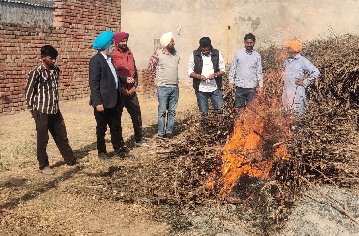 ਨਰਮੇ ਦੇ ਟੀਂਡਿਆਂ ਦੀ ਗੁਲਾਬੀ ਸੁੰਡੀ ਦੀ ਰੋਕਥਾਮ ਲਈ ਏਕੀਕ੍ਰਿਤ ਕੀਟ ਪ੍ਰਬੰਧ ਪ੍ਰਣਾਲੀ ਅਪਨਾਉਣ ਦੀ ਜ਼ਰੂਰਤ:ਮੁੱਖ ਖੇਤੀਬਾੜੀ ਅਫ਼ਸਰ