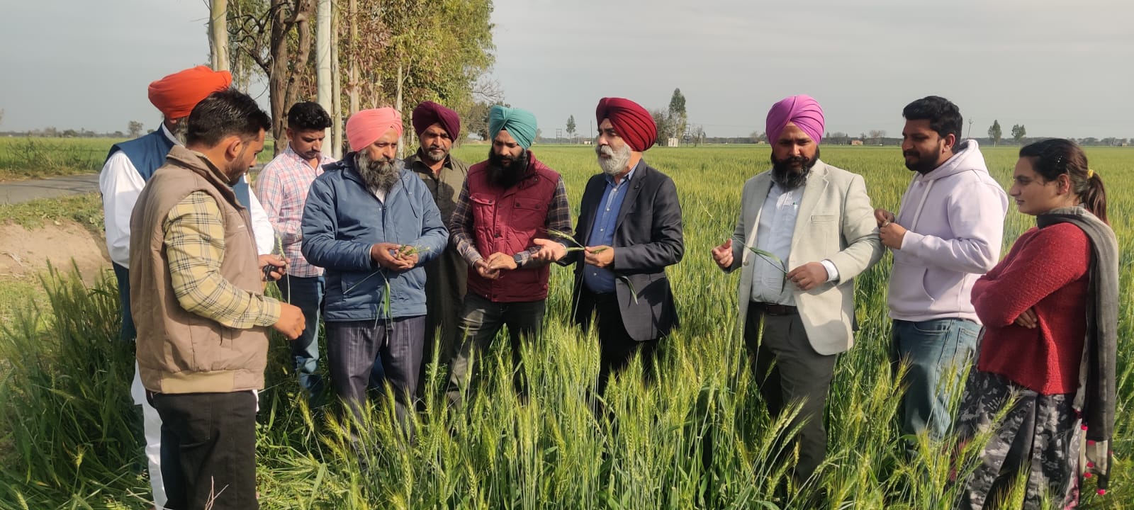 ਮੁੱਖ ਖੇਤੀਬਾੜੀ ਅਫਸਰ ਫਰੀਦਕੋਟ ਵੱਲੋਂ ਮੀਹ/ਗੜ੍ਹੇਮਾਰੀ ਨਾਲ ਪ੍ਰਭਾਵਿਤ ਖੇਤਾਂ ਦਾ ਦੌਰਾ