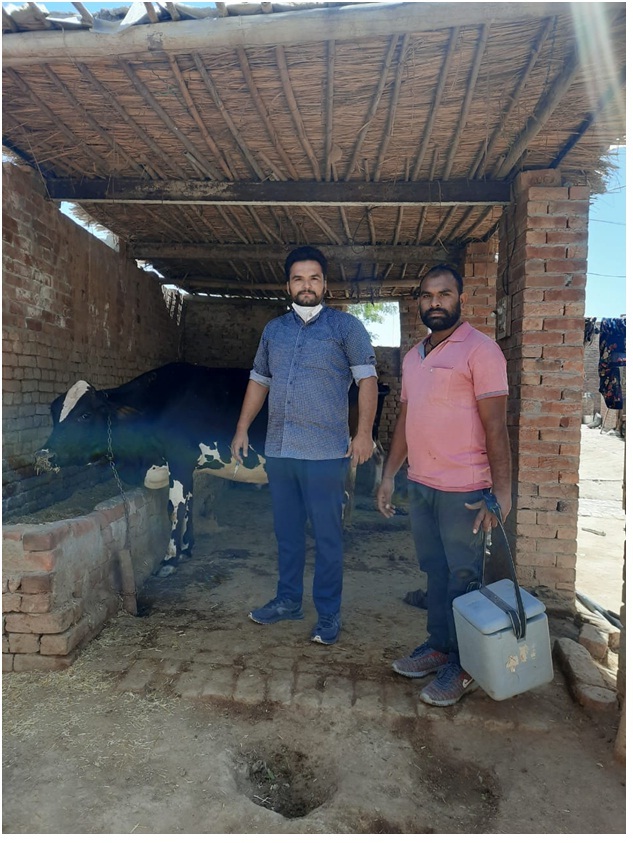 ਪਸ਼ੂਆਂ ਨੂੰ ਲੰਪੀ ਸਕਿਨ ਬਿਮਾਰੀ ਤੋਂ ਬਚਾਉਣ ਲਈ ਕੀਤਾ ਜਾ ਚੁੱਕਾ ਹੈ 70,700 ਪਸ਼ੂਆਂ ਦਾ ਟੀਕਾਕਰਨ