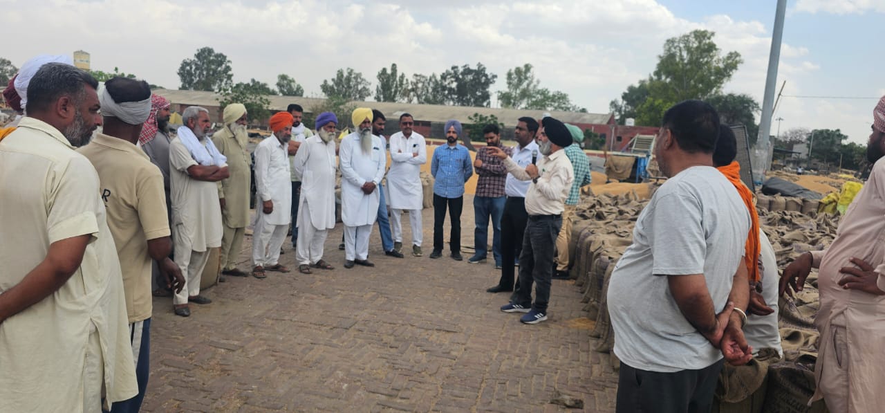 ਪੀ ਆਰ 126 ਕਿਸਮ ਹੇਠ ਰਕਬਾ ਵਧਾਉਣ ਦੀ ਲੋੜ: ਮੁੱਖ ਖੇਤੀਬਾੜੀ ਅਫਸਰ