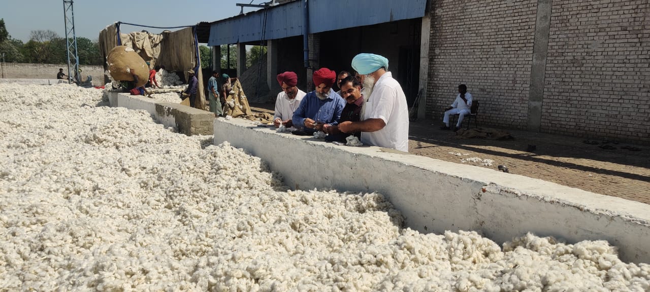 ਨਰਮੇ ਦੇ ਟੀਂਡਿਆਂ ਦੀ ਗੁਲਾਬੀ ਸੁੰਡੀ ਦੀ ਰੋਕਥਾਮ ਲਈ ਏਕੀਕ੍ਰਿਤ ਕੀਟ ਪ੍ਰਬੰਧ ਪ੍ਰਣਾਲੀ ਅਪਨਾਉਣ ਦੀ ਜ਼ਰੂਰਤ:ਡਾ. ਧਰਮ ਪਾਲ ਮੌਰੀਆ