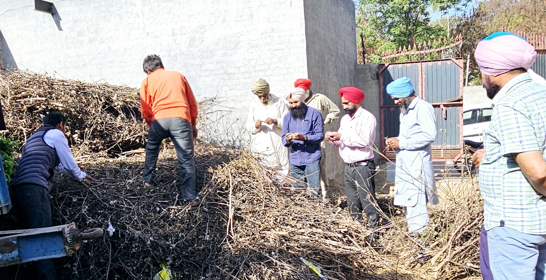 ਗੁਲਾਬੀ ਸੁੰਡੀ ਦੇ ਹਮਲੇ ਨੂੰ ਰੋਕਣ ਲਈ ਨਰਮੇ ਦੀਆਂ ਛਿਟੀਆਂ ਦੇ ਢੇਰਾਂ ਨੂੰ ਕੀਤਾ ਜਾਵੇ ਨਸ਼ਟ