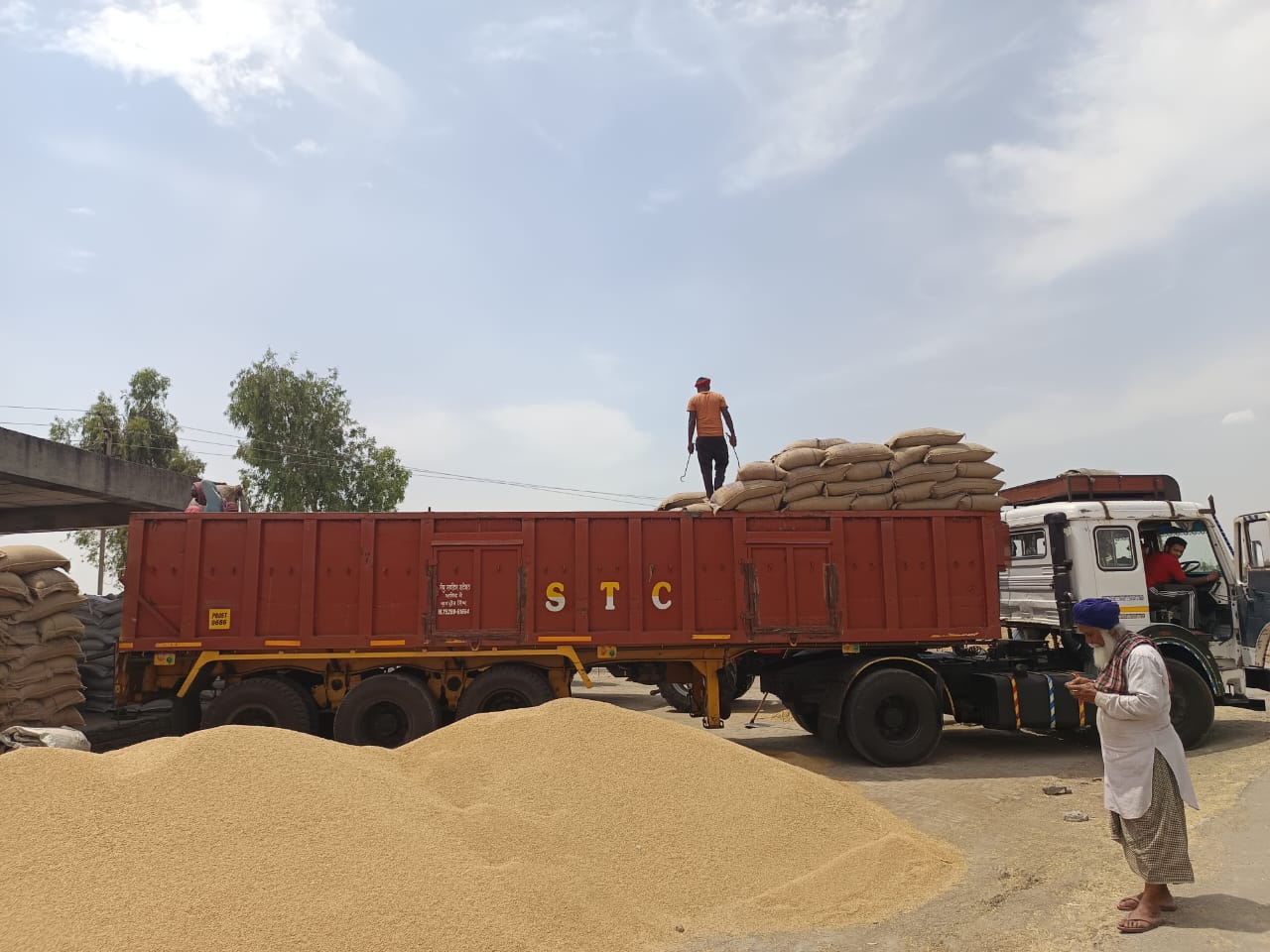 ਜ਼ਿਲ੍ਹੇ ਦੀਆਂ ਮੰਡੀਆਂ ਵਿੱਚ ਬੀਤੀ ਸ਼ਾਮ ਤੱਕ ਕੀਤੀ ਗਈ 681108 ਮੀਟਰਕ ਟਨ ਕਣਕ ਦੀ ਖ਼ਰੀਦ: ਧੀਮਾਨ