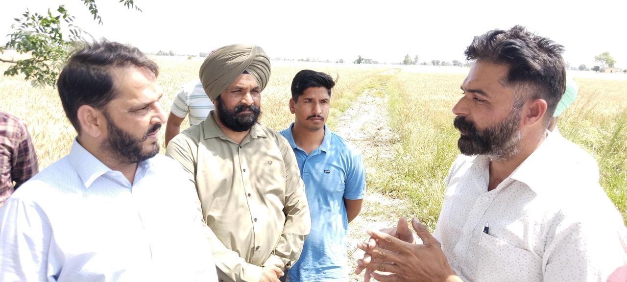 ਅਧੁਨਿਕ ਮਸ਼ੀਨਾਂ ਤੇ ਤਕਨੀਕਾਂ ਰਾਹੀਂ ਖੇਤੀ ਨੂੰ ਵਧੇਰੇ ਲਾਹੇਵੰਦ ਬਣਾਉਣ ਦੀ ਜ਼ਰੂਰਤ – ਧੀਮਾਨ
