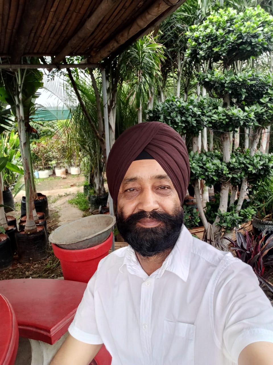 ਜਿਲ੍ਹਾ ਅੰਮ੍ਰਿਤਸਰ ਵਿੱਚ ਝੋਨੇ ਦੀ ਲੁਆਈ 15 ਜੂਨ ਤੋਂ ਹੀ ਕੀਤੀ ਜਾਵੇ-  ਡਾ: ਬਲਜਿੰਦਰ ਸਿੰਘ ਭੁੱਲਰ