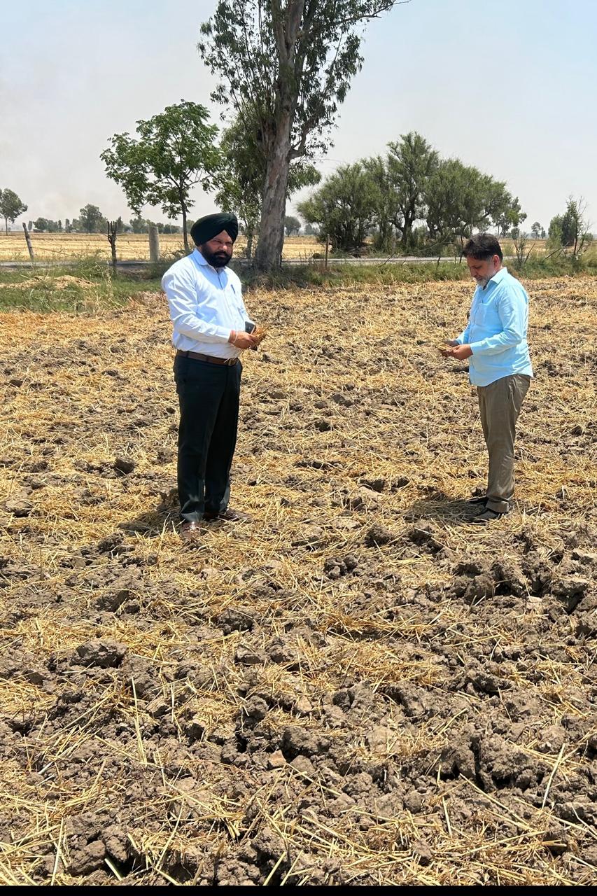 ਖੇਤੀਬਾੜੀ ਵਿਭਾਗ ਦੇ ਅਧਿਕਾਰੀਆਂ ਵਲੋਂ ਨਰਮੇਂ ਦੀ ਬਿਜਾਈ ਦਾ ਕੀਤਾ ਨਿਰੀਖਣ
