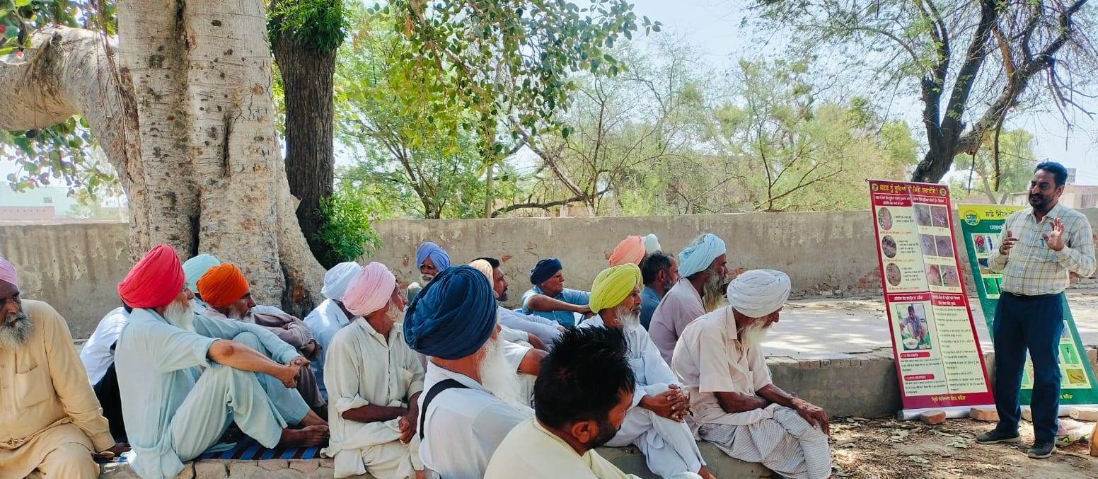 ਨਰਮੇ ਦੀ ਕਾਸ਼ਤ ਸਬੰਧੀ ਸਿਖਲਾਈ ਕੈਂਪ ਆਯੋਜਿਤ
