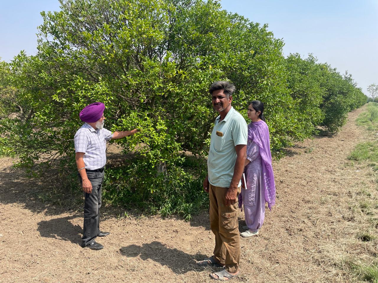 ਬਾਗਬਾਨੀ ਵਿਭਾਗ ਦੇ ਅਧਿਕਾਰੀਆਂ ਵੱਲੋਂ ਬਾਗਾਂ ਦੇ ਦੌਰੇ, ਕਿਸਾਨਾਂ ਨੂੰ ਦਿੱਤੀ ਤਕਨੀਕੀ ਸਲਾਹ