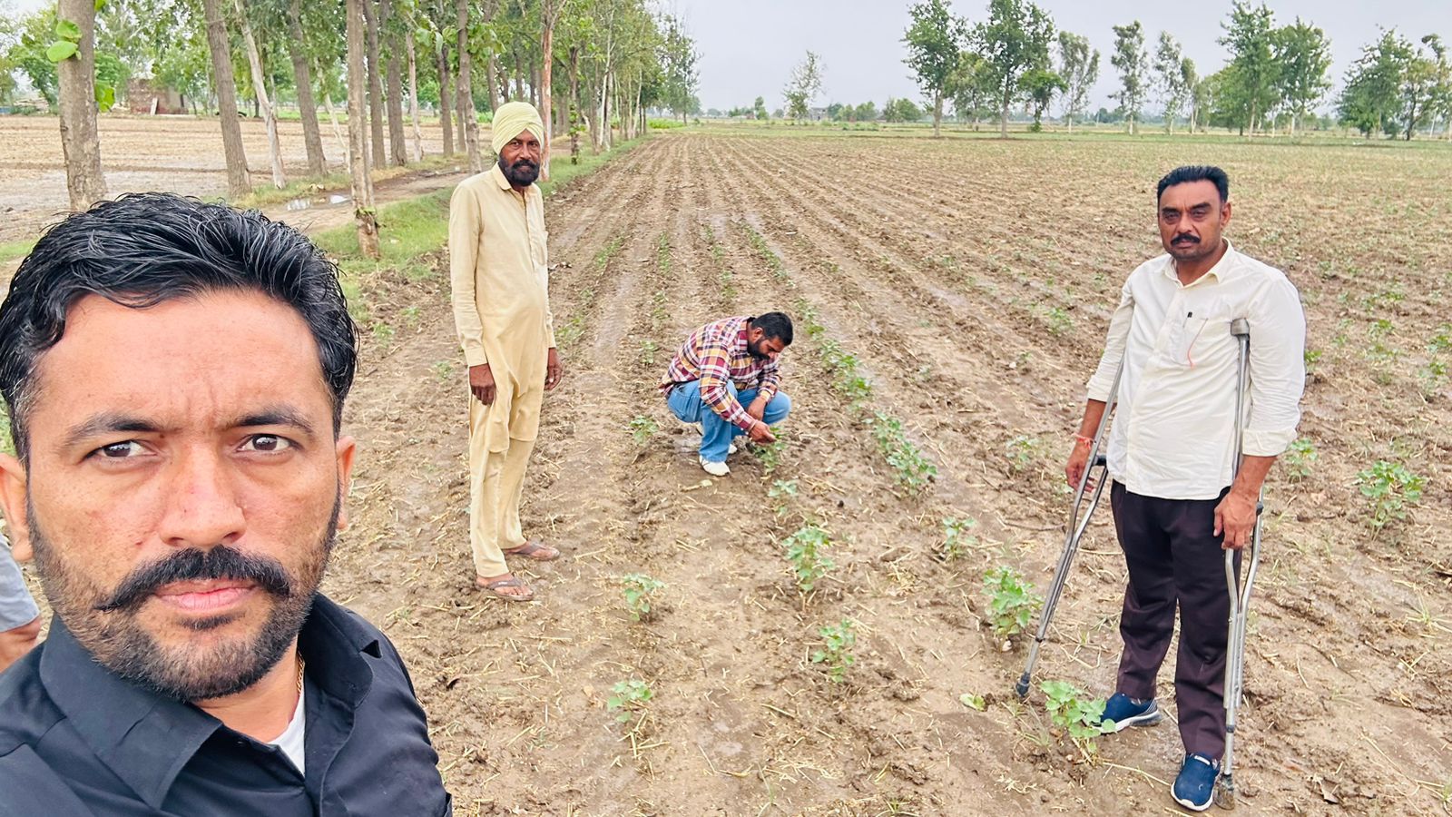 ਨਰਮੇਂ ਦੀ ਫ਼ਸਲ ਨੂੰ ਕਾਮਯਾਬ ਕਰਨ ਲਈ 28 ਪੈਸਟ ਸਰਵੇਲੈਂਸ ਟੀਮਾਂ ਦਾ ਕੀਤਾ ਗਠਨ: ਮੁੱਖ ਖੇਤੀਬਾੜੀ ਅਫਸਰ