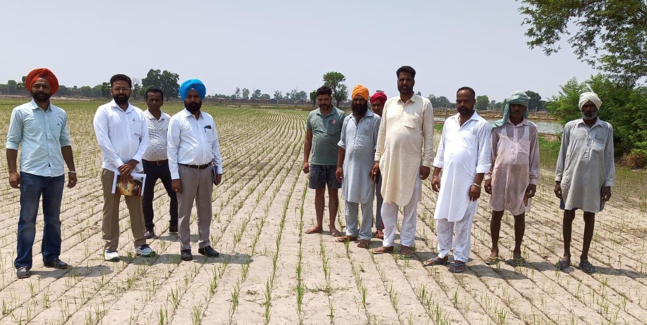 ਝੋਨੇ ਅਤੇ ਬਾਸਮਤੀ ਦੀ ਸਿੱਧੀ ਬਿਜਾਈ ਤੇ 1500 ਰੁ: ਪ੍ਰਤੀ ਏਕੜ ਪ੍ਰੋਤਸਾਹਨ ਰਾਸ਼ੀ ਪ੍ਰਾਪਤ ਕਰਨ ਲਈ 30 ਜੂਨ ਤੱਕ ਰਜਿਸਟ੍ਰੇਸ਼ਨ ਕਰਾਉਣੀ ਜ਼ਰੂਰੀ – ਮੁੱਖ ਖੇਤੀਬਾੜੀ ਅਫਸਰ