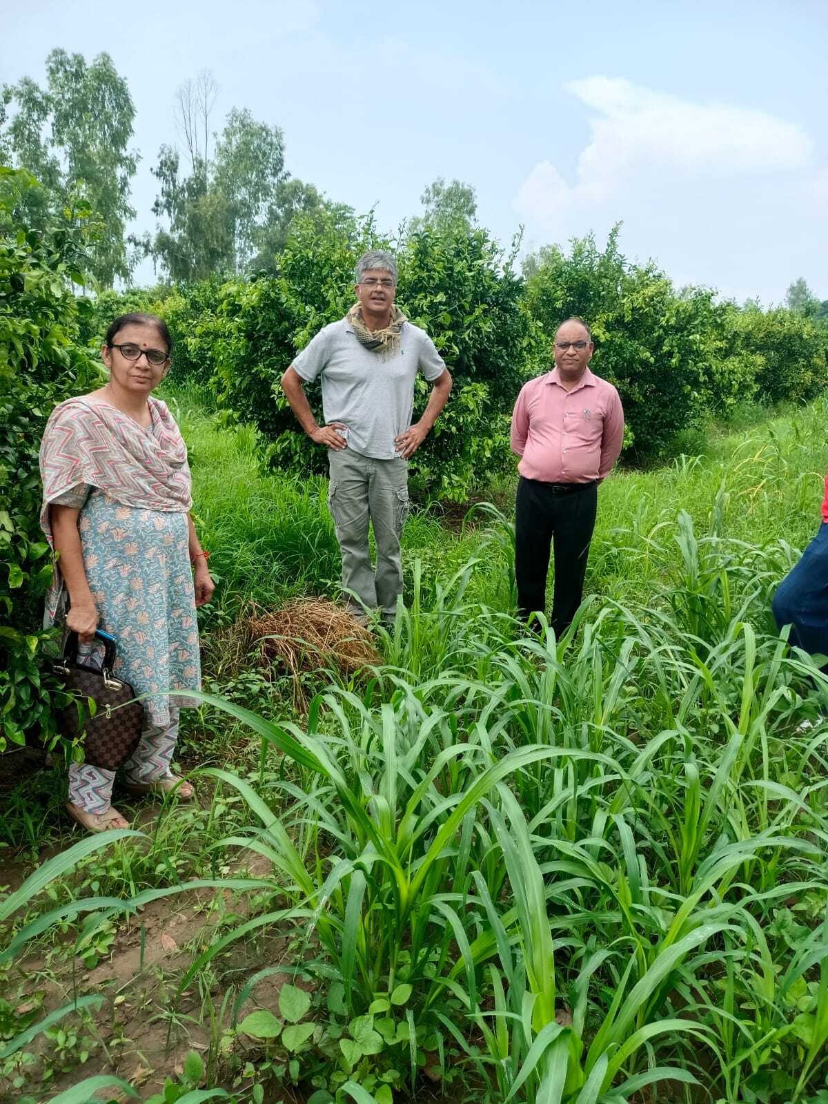 ਪਿਛਲੇ 22 ਸਾਲ ਤੋਂ ਝੋਨੇ ਦੀ ਪਰਾਲੀ ਨੂੰ ਖੇਤ ਵਿੱਚ ਵਾਹ ਕੇ ਕਣਕ ਦੀ ਬਿਜਾਈ  ਕਰ ਰਿਹਾ ਹੈ ਅਗਾਂਹ ਵਧੂ ਕਿਸਾਨ ਪ੍ਰਤਿੰਦਰ ਸਿੰਘ ਔਲਖ