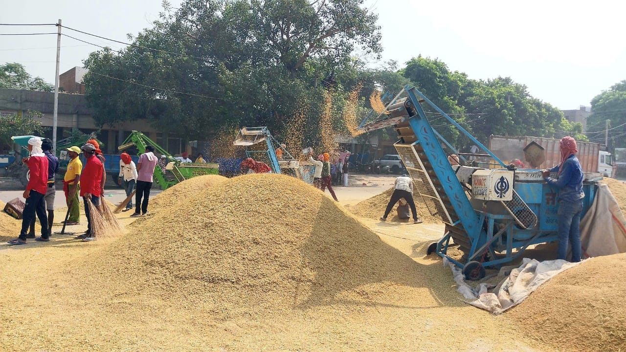 ਜ਼ਿਲ੍ਹੇ ਵਿੱਚ ਝੋਨੇ ਦੀ ਨਿਰਵਿਘਨ ਖਰੀਦ ਜਾਰੀ- ਵਿਨੀਤ ਕੁਮਾਰ