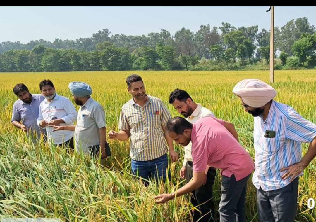 ਜਿ਼ਲ੍ਹੇ ਵਿੱਚ ਝੋਨੇ ਦੀ ਕਟਾਈ  ਸੁਪਰ ਐੱਸ.ਐੱਮ.ਐੱਸ ਯੰਤਰ ਲੱਗੀਆਂ ਕੰਬਾਇਨਾਂ ਨਾਲ ਹੀ ਕੀਤੀ ਜਾਵੇ– ਡਿਪਟੀ ਕਮਿਸ਼ਨਰ