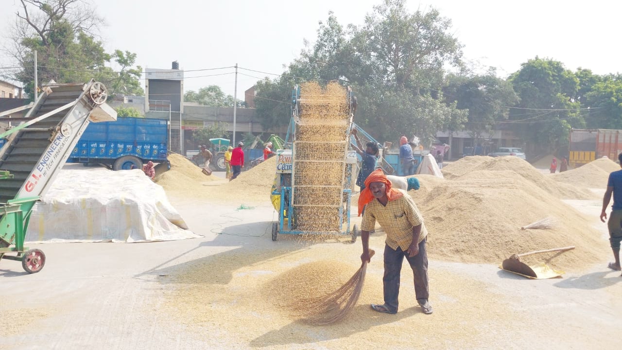 ਜਿਲੇ ਦੀਆਂ ਮੰਡੀਆਂ ਵਿੱਚ ਹੁਣ ਤੱਕ ਹੋਈ 13377 ਮੀਟਰਕ ਟਨ ਝੋਨੇ ਦੀ ਆਮਦ