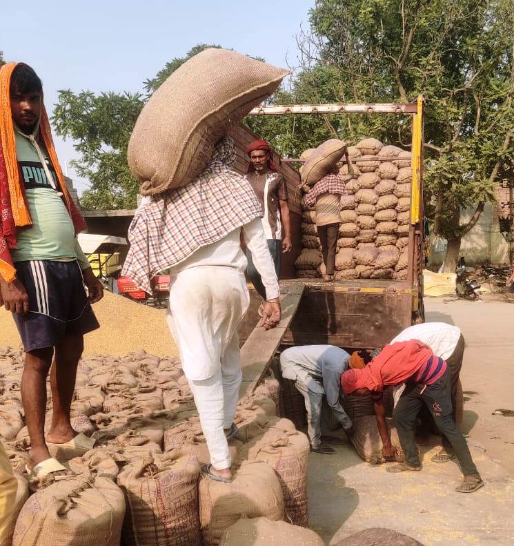 ਜ਼ਿਲੇ ਦੀਆਂ ਮੰਡੀਆਂ ਵਿੱਚ ਪੁੱਜਾ 288923 ਮੀਟਰਕ ਟਨ ਝੋਨਾ ; 234780 ਦੀ ਹੋਈ ਖਰੀਦ