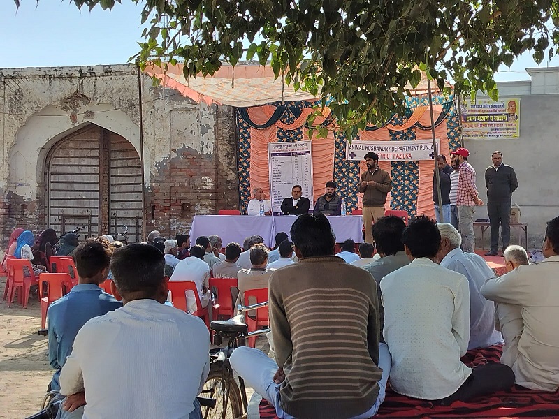 ਪਸ਼ੂ ਪਾਲਣ ਵਿਭਾਗ ਫਾਜਿਲਕਾ ਵੱਲੋ ਪਿੰਡ ਬਜੀਦਪੁਰ ਕੱਟਿਆ ਵਾਲੀ ਵਿਖੇ ਲਗਾਇਆ ਗਿਆ ਕੈਂਪ