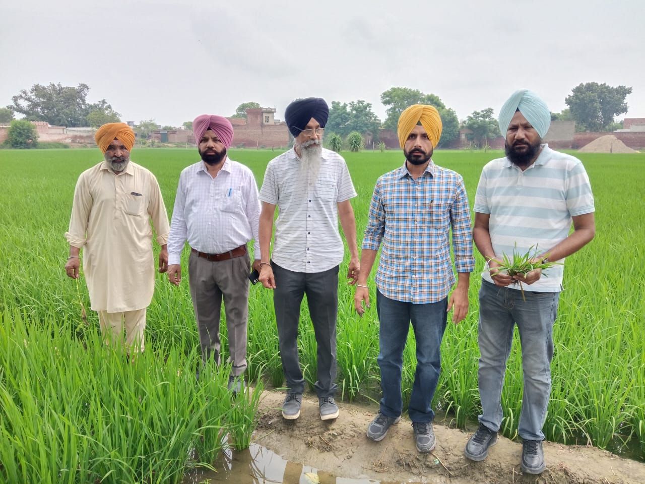 ਕਿਸਾਨਾਂ ਨੂੰ ਫ਼ਸਲਾਂ ਸਬੰਧੀ ਆ ਰਹੀਆਂ ਮੁਸ਼ਕਿਲਾਂ ਦੇ ਹੱਲ ਲਈ ਪੈਸਟ ਸਰਵੇਲੈਂਸ ਟੀਮਾਂ ਦਾ ਗਠਨ ਕੀਤਾ ਗਿਆ- ਡਾ. ਕੁਲਵੰਤ ਸਿੰਘ