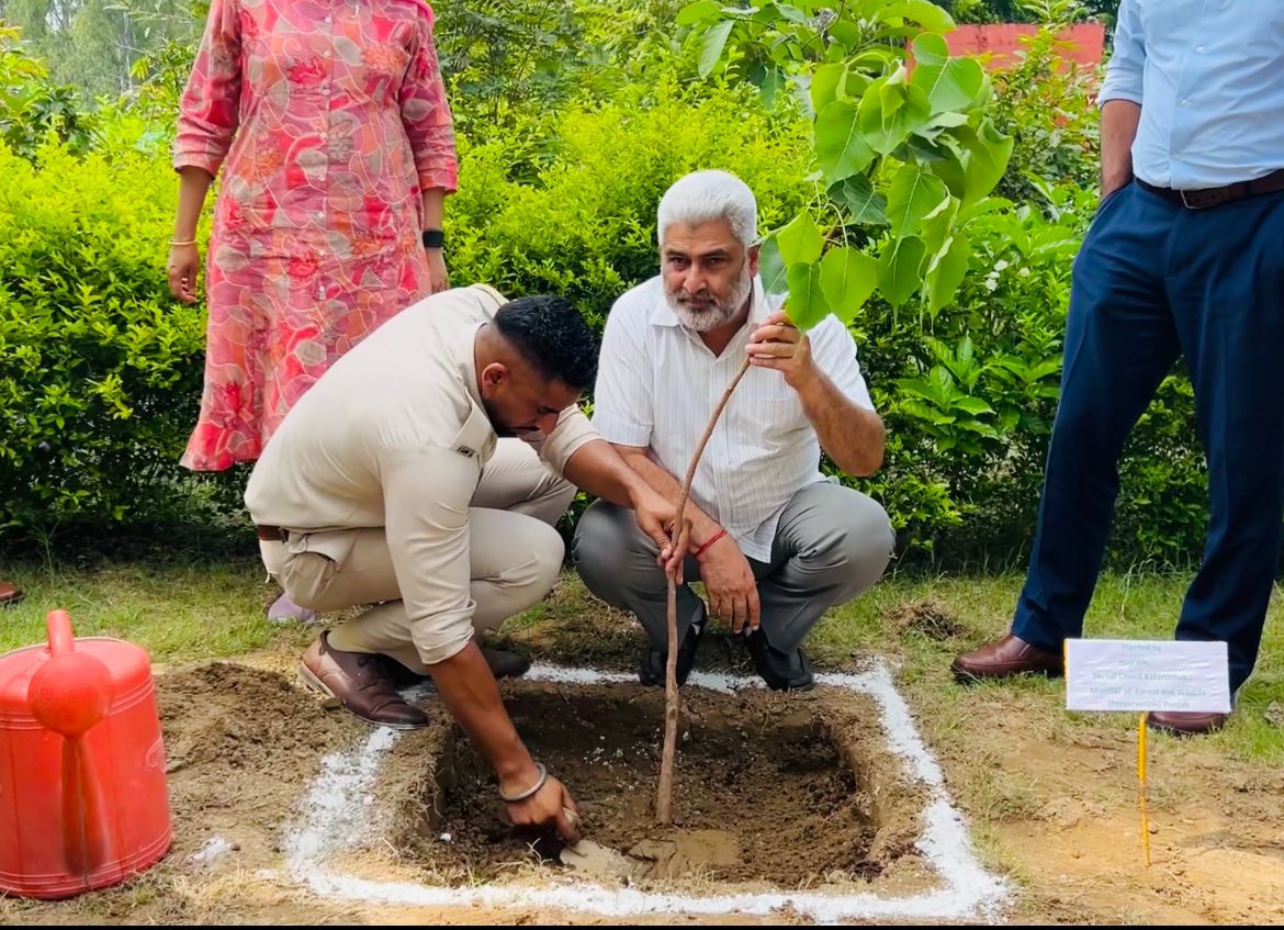 ਪਲਾਂਟੇਸ਼ਨ ਮੁਹਿੰਮ ਨੂੰ ਮਿਲ ਰਹੀ ਤੇਜ਼ੀ, ਜੰਗਲਾਤ ਤੇ ਜੰਗਲੀ ਜੀਵ ਸੁਰੱਖਿਆ ਮੰਤਰੀ ਲਾਲ ਚੰਦ ਕਟਾਰੂਚੱਕ ਮੈਦਾਨ ਵਿੱਚ ਸਰਗਰਮ