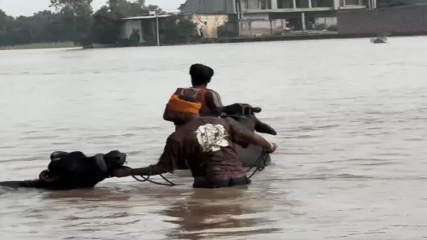 ਪੰਜਾਬ ਦੇ ਆਈਏਐਸ ਅਤੇ ਪੀਸੀਐਸ ਅਧਿਕਾਰੀ ਹੜ੍ਹ ਰਾਹਤ ਕਾਰਜਾਂ ਲਈ ਇੱਕ ਦਿਨ ਦੀ ਤਨਖਾਹ ਦੇਣਗੇ