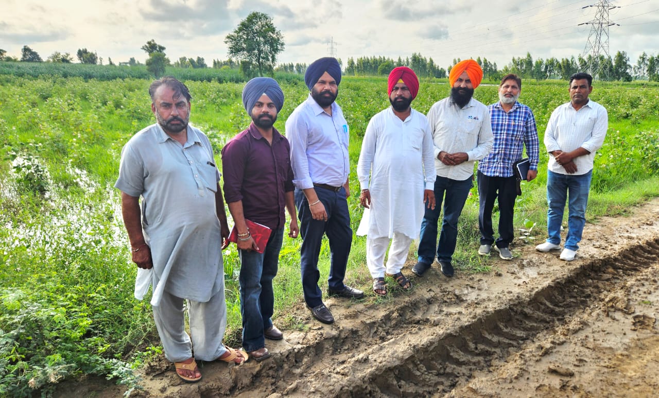 ਖੇਤੀਬਾੜੀ ਅਤੇ ਕਿਸਾਨ ਭਲਾਈ ਵਿਭਾਗ ਵੱਲੋਂ ਕੀਤਾ ਗਿਆ ਭਾਰੀ ਬਾਰਿਸ਼ਾਂ ਨਾਲ ਪ੍ਰਭਾਵਿਤ ਹੋਏ ਰਕਬੇ ਦਾ ਦੌਰਾ