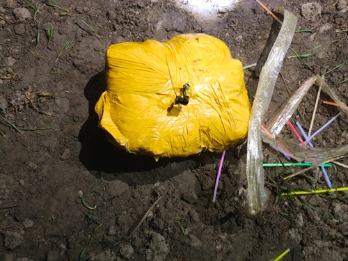 ਅੰਮ੍ਰਿਤਸਰ ਵਿੱਚ ਡਰੋਨ ਰਾਹੀਂ ਭੇਜੀ 12 ਕਿਲੋਗ੍ਰਾਮ ਹੈਰੋਇਨ ਦੀ ਖੇਪ ਬਰਾਮਦ