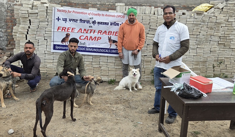 ਹਲਕਾਅ ਤੋਂ ਬਚਾਅ ਲਈ ਕੁੱਤਿਆਂ ਨੂੰ ਕੀਤਾ ਗਿਆ ਮੁਫਤ ਟੀਕਾਕਰਨ