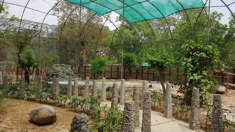 ਜੰਗਲੀ ਜੀਵਾਂ ਦੀ ਸੁਰੱਖਿਆ ਸਬੰਧੀ ਭਗਵੰਤ ਸਿੰਘ ਮਾਨ ਸਰਕਾਰ ਦੀਆਂ ਪਹਿਲਕਦਮੀਆਂ ਸਦਕਾ 2 ਮਹੀਨਿਆਂ ਵਿੱਚ 80,508 ਸੈਲਾਨੀਆਂ ਦੀ ਹੋਈ ਆਮਦ: ਲਾਲ ਚੰਦ ਕਟਾਰੂਚੱਕ