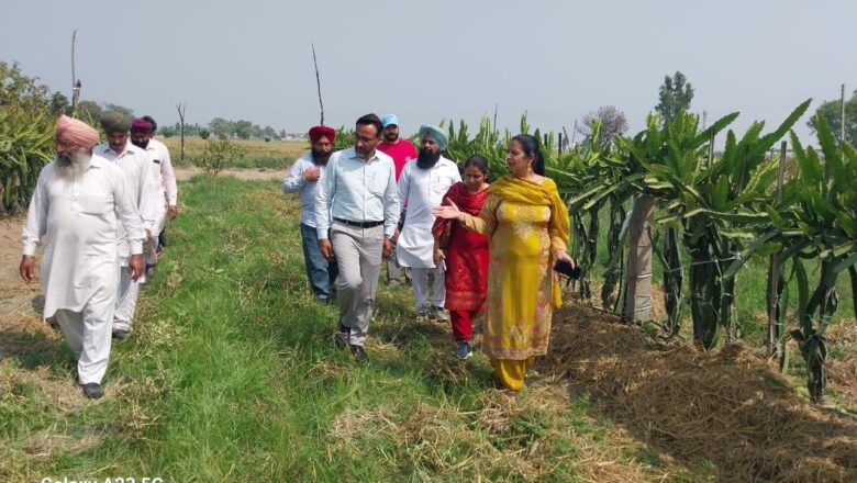 ਪੰਜਾਬ – ਨਾਬਾਰਡ ਵੱਲੋਂ ਵਿੱਤਪੋਸ਼ਿਤ ਪ੍ਰੋਜੈਕਟ  ਦੇ ਤਹਿਤ ਕਿਸਾਨਾਂ ਦਾ ਇੱਕ ਐਕਸਪੋਜ਼ਰ ਦੌਰਾ