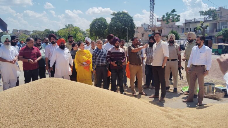 ਡਿਪਟੀ ਕਮਿਸ਼ਨਰ ਵੱਲੋਂ ਰੂਪਨਗਰ ਅਨਾਜ ਮੰਡੀ ਦਾ ਅਚਨਚੇਤ ਦੌਰਾ