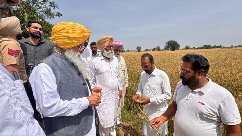 ਖੇਤੀਬਾੜੀ ਮੰਤਰੀ ਨੇ ਪਿੰਡ ਚੰਨੂ ਵਿਖੇ ਹੋਏ ਫਸਲਾਂ ਦੇ ਨੁਕਸਾਨ ਦਾ ਲਿਆ ਜਾਇਜ਼ਾ