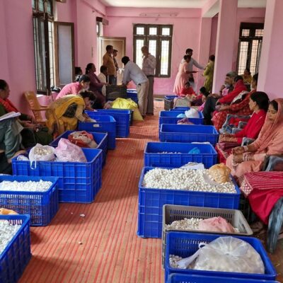 जिला मंडी में रेशम उद्योग बना ग्रामीण समृद्धि का आधार, हजारों किसानों की आय बढ़ाने में निभा रहा अहम भूमिका