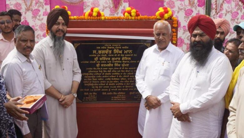 ਮਾਨ ਸਰਕਾਰ ਸਿੰਚਾਈ ਲਈ 100 ਫ਼ੀਸਦੀ ਨਹਿਰੀ ਪਾਣੀ ਟੇਲਾਂ ਤੱਕ ਪਹੁੰਚਾਏਗੀ: ਬਰਿੰਦਰ ਕੁਮਾਰ ਗੋਇਲ
