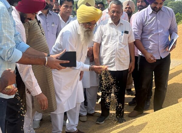 ਕੈਬਨਿਟ ਮੰਤਰੀ ਸ. ਖੁੱਡੀਆਂ ਨੇ ਮੰਡੀ ਕਿੱਲਿਆਂਵਾਲੀ ਵਿਖੇ ਝੋਨੇ ਦੀ ਸਰਕਾਰੀ ਖਰੀਦ ਦੀ ਕਰਵਾਈ ਸ਼ੁਰੂਆਤ